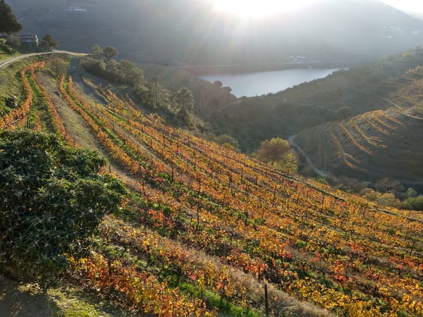 A perfect weekend in the Douro Valley